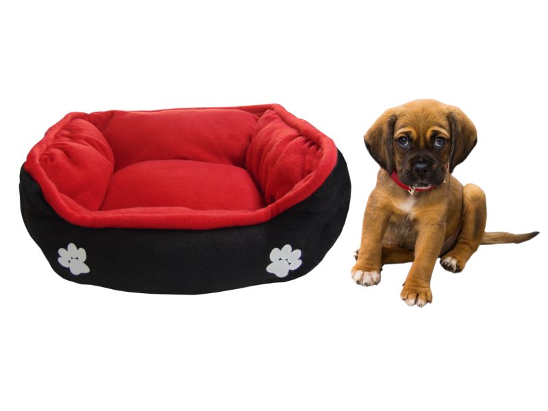 Cama grande doble faz para mascota - Image 2