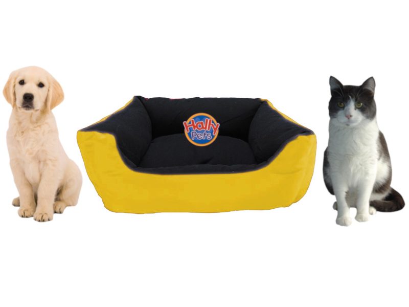 Cama Impermeable grande con cojín lavable