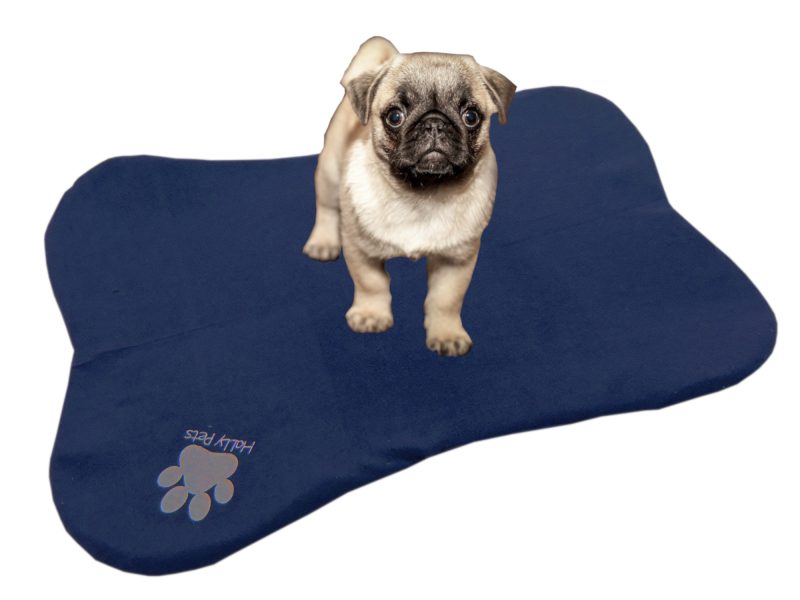 Cama en forma de hueso para mascotas