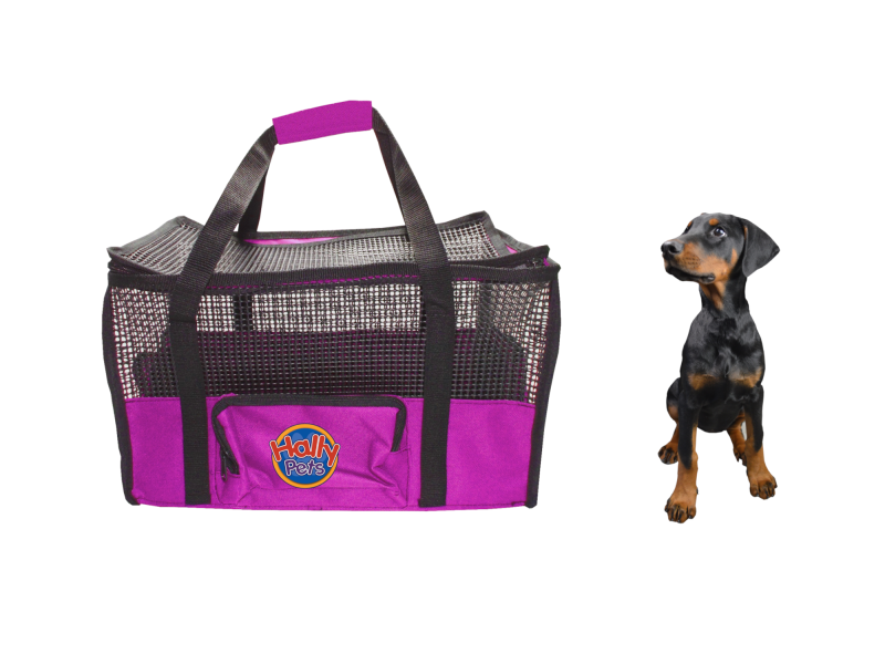 Cargador maleta para transportar mascota Grande