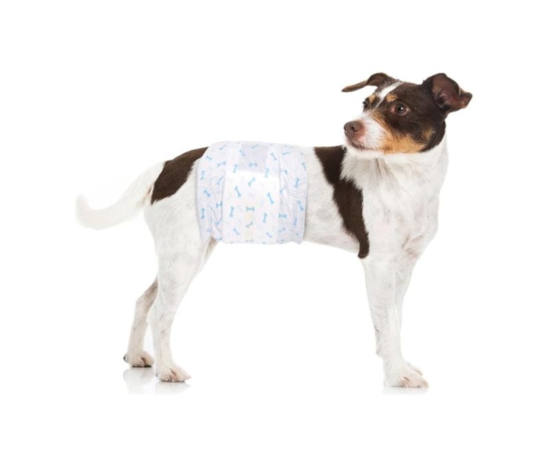 Pañal Desechable Para Mascota Macho Talla Xl Por 12 Und - Image 3