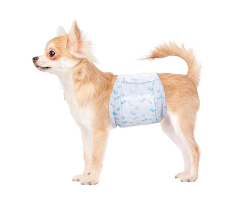 Pañal Desechable Para Mascota Macho Talla Xl Por 12 Und
